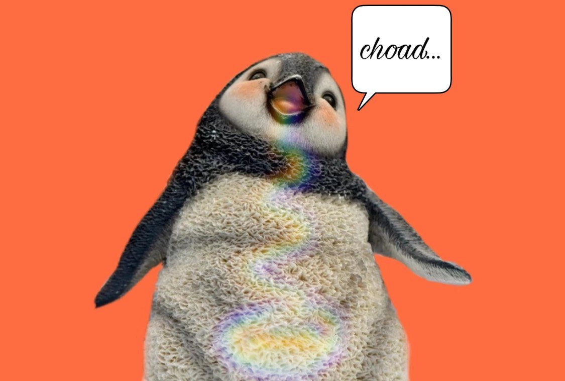 PENGUIN CHOAD FOM TOOLEY PATRICK SCHEIDEGGER