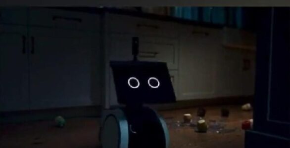 a robot ? wtf are we gonna do with a robot ?