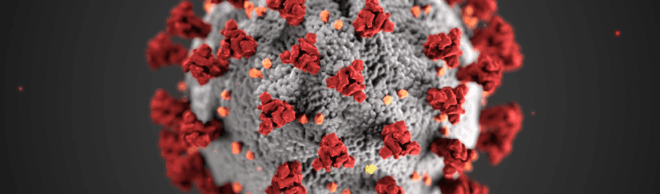 covid-19 is a biological weapon of mass destruction
